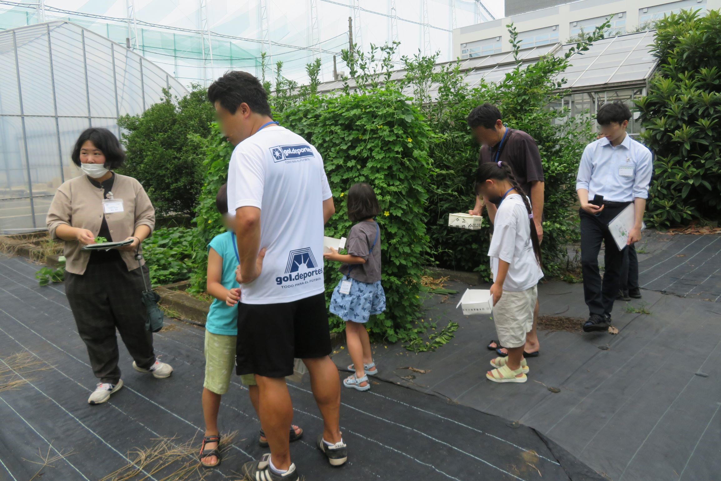 図　農薬検査部夏休みイベント