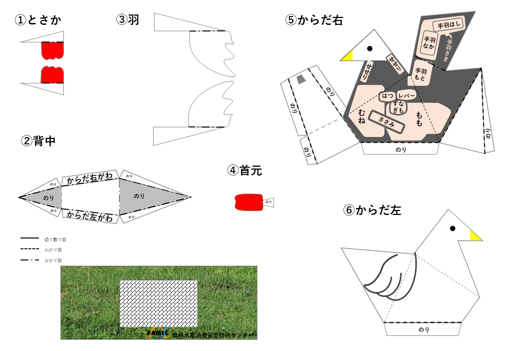 ニワトリの図面